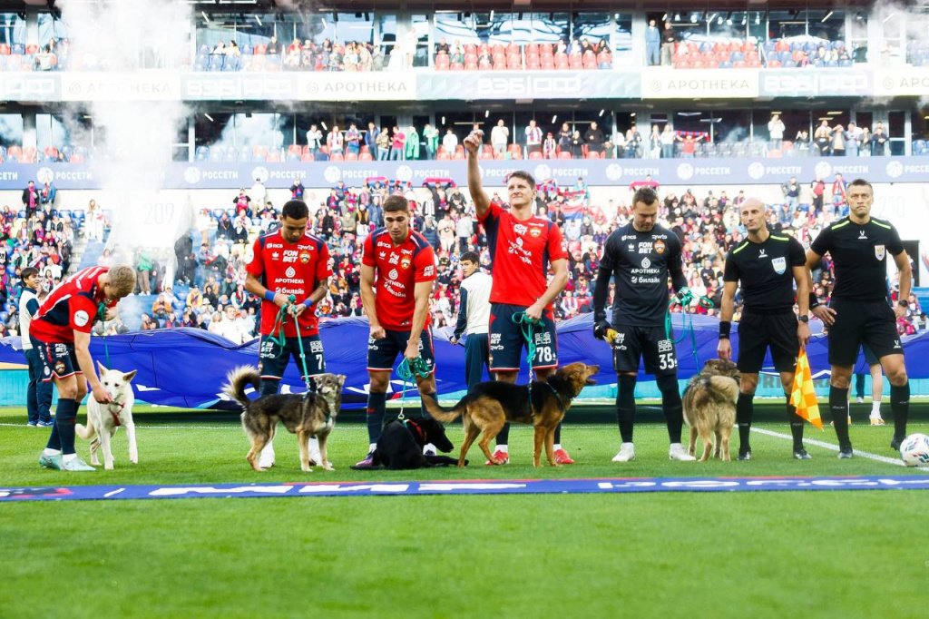 Пятое.jpg Пятое.jpg